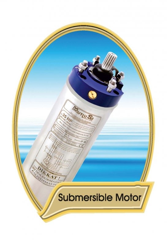 Submersible Motors