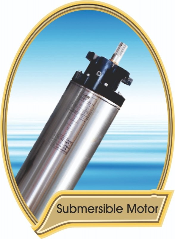 10x8 Euro Type Keyed Shaft Submersible Motor - MSP Pumps and Motors
